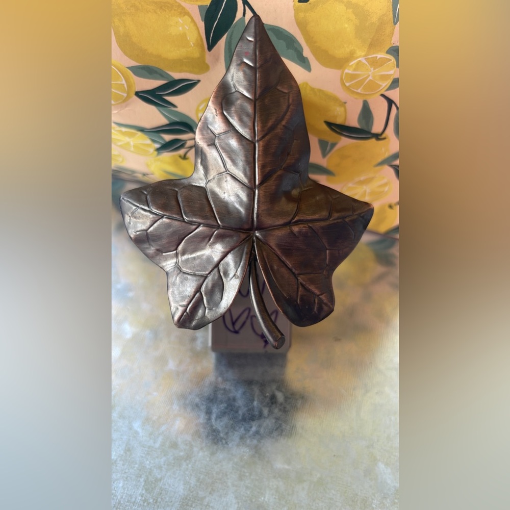Bath and body works wallflower plug in